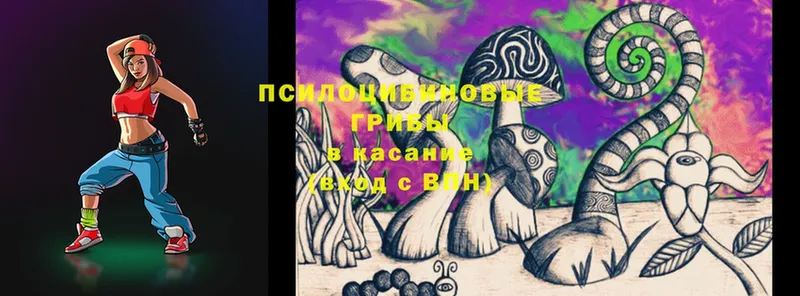 Галлюциногенные грибы Psilocybine cubensis Неман